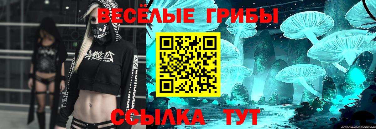 Усть-Кут  магазин продажи наркотиков  Вход с VPN  Галлюциногенные грибы прущие грибы 
